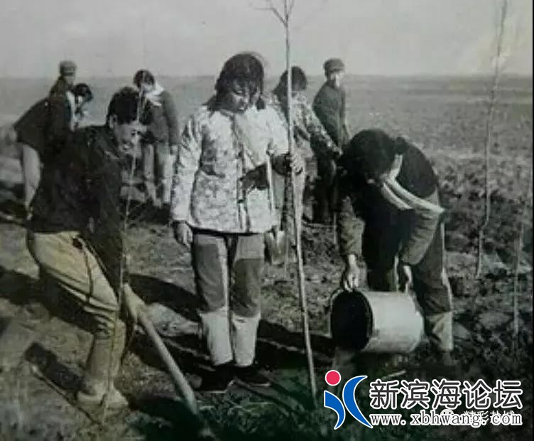 微信图片_20191208170353.jpg