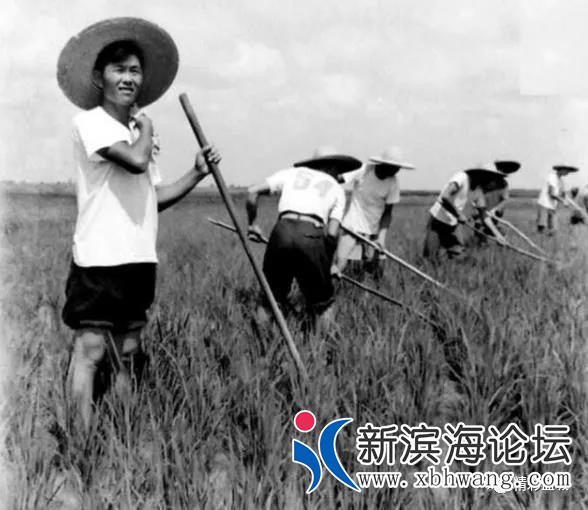 微信图片_20191208170841.jpg
