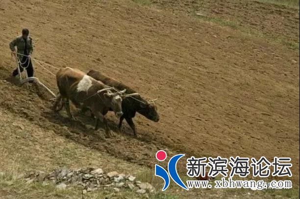 微信图片_20191208171059.jpg