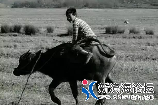微信图片_20191208171103.jpg
