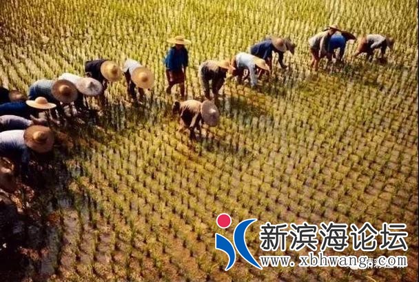 微信图片_20191208171119.jpg