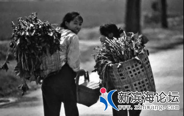 微信图片_20191208171142.jpg