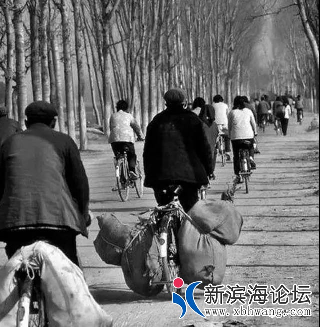 微信图片_20191208171138.jpg