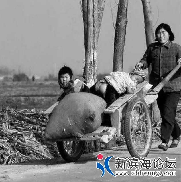 微信图片_20191208171151.jpg