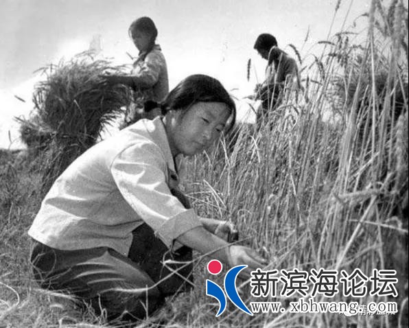 微信图片_20191208171209.jpg