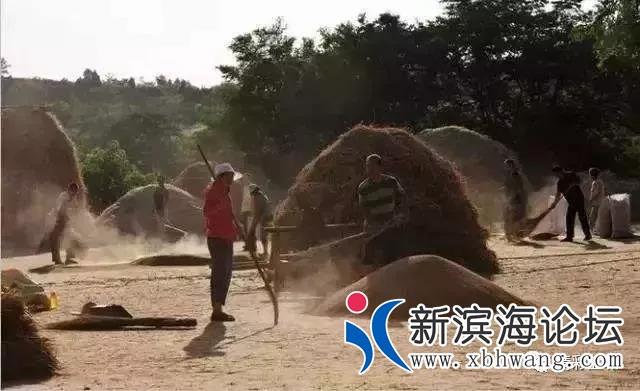 微信图片_20191208172144.jpg