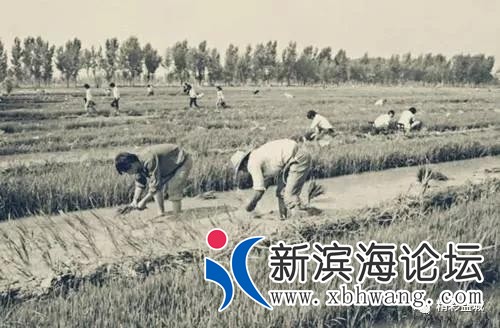 微信图片_20191208172424.jpg