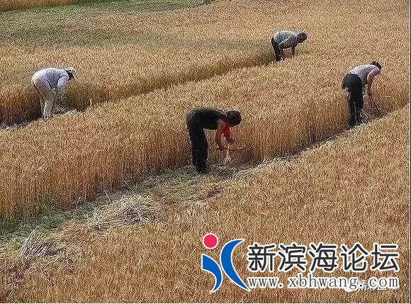 微信图片_20191208172420.jpg