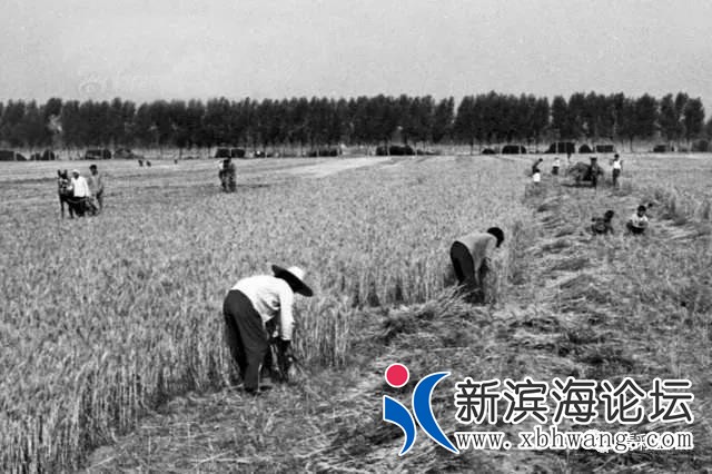 微信图片_20191208172857.jpg