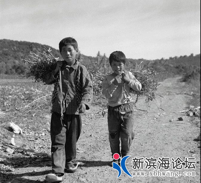 微信图片_20191208172906.jpg