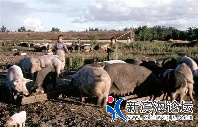 微信图片_20191208172924.jpg