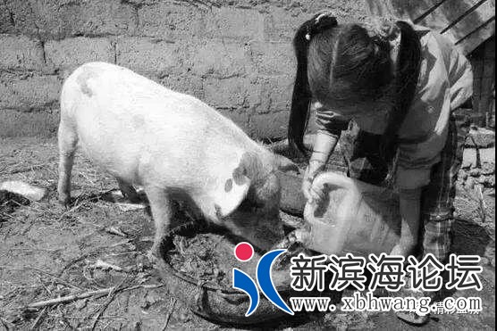 微信图片_20191208172917.jpg