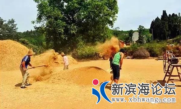 微信图片_20191208172936.jpg
