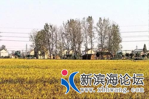 微信图片_20191210082327.jpg