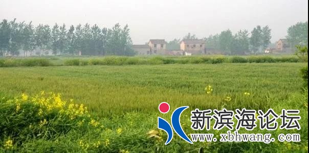微信图片_20191210082325.jpg
