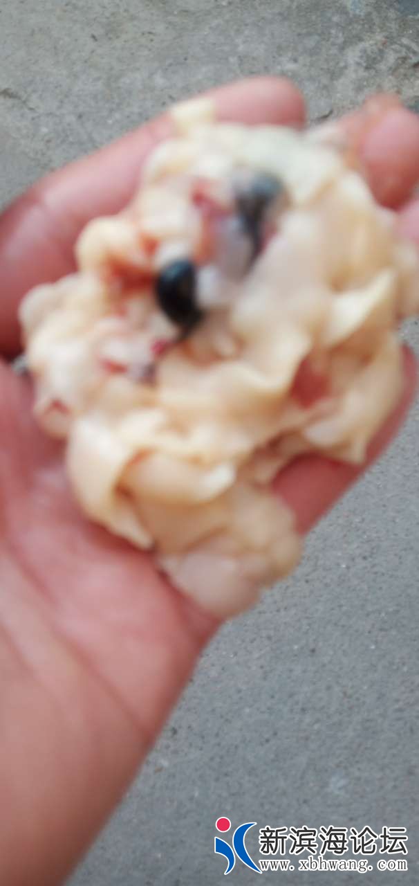 20191210_58155_1575962184155.jpg