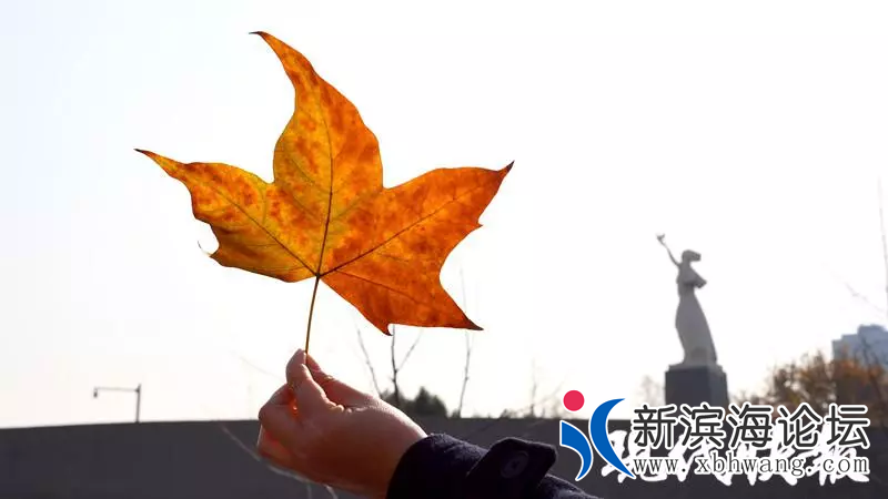 微信图片_20191213100230.png