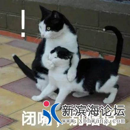 微信图片_20191215112157.jpg