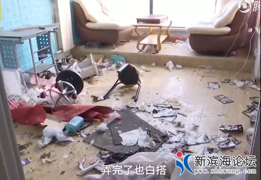 微信图片_20191215163801.jpg