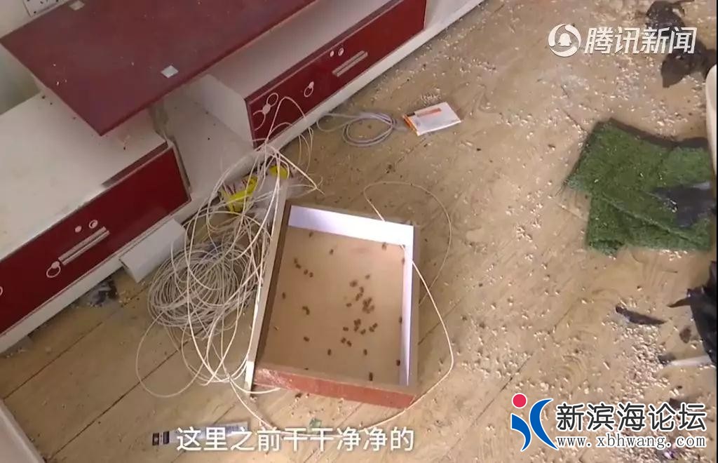 微信图片_20191215163806.jpg