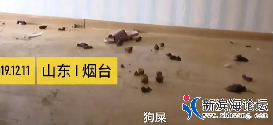 微信图片_20191215163819.jpg