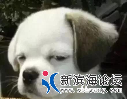 微信图片_20191215163848.jpg