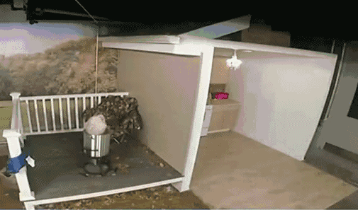 20191217_15974_1576535332339.gif