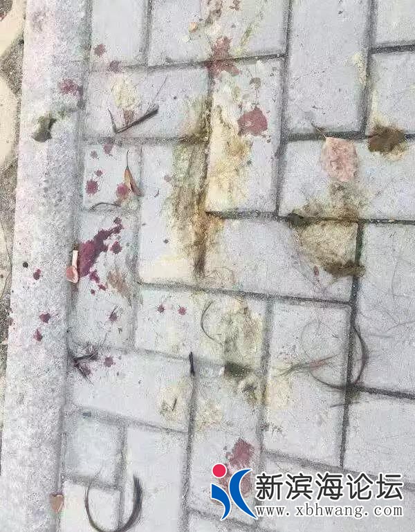 微信图片_20191217101626.jpg