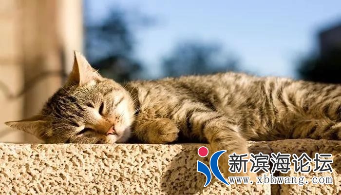 微信图片_20191217102642.jpg