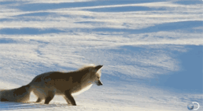 微信图片_20191217102655.gif