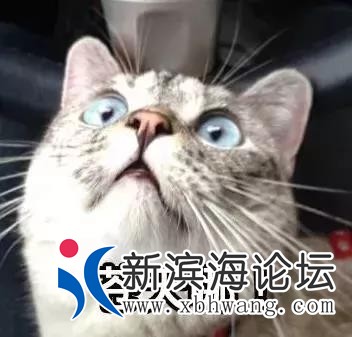 微信图片_20191217152546.jpg