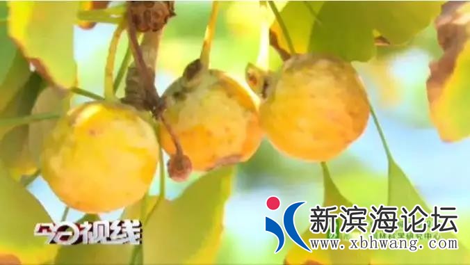 微信图片_20191217172904.jpg
