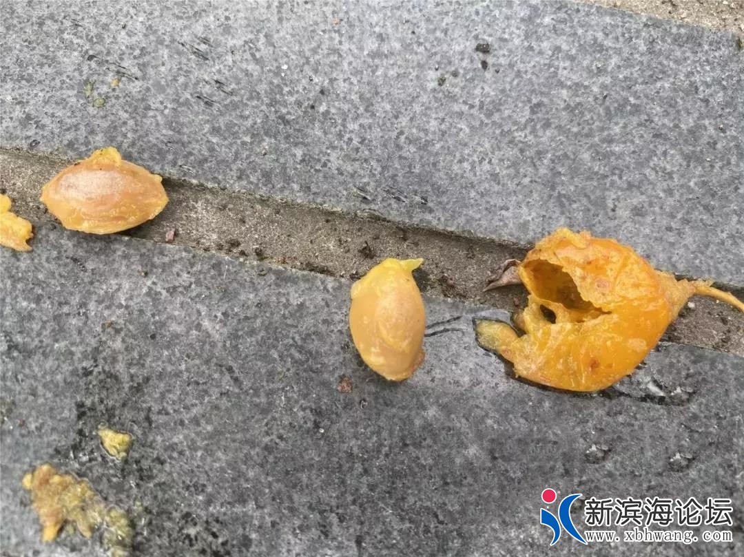 微信图片_20191217172909.jpg