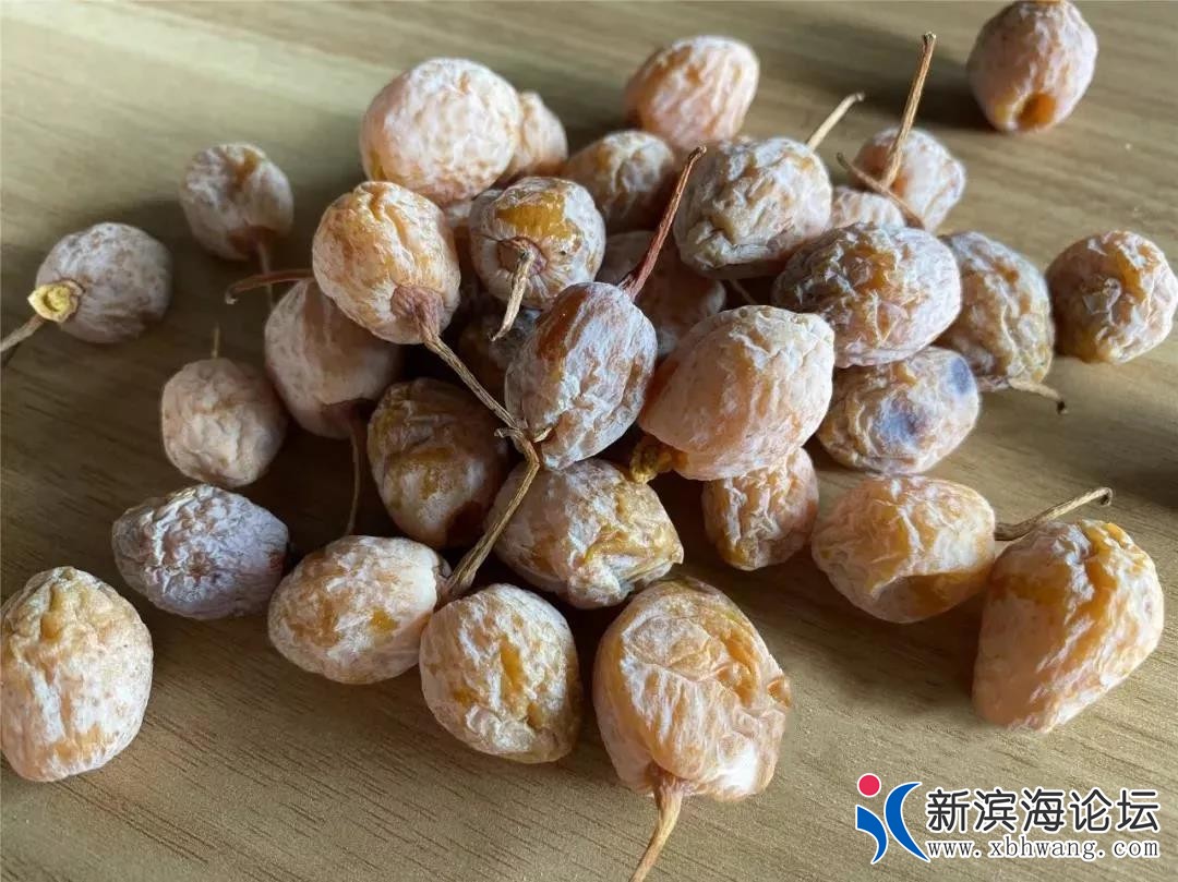 微信图片_20191217172914.jpg