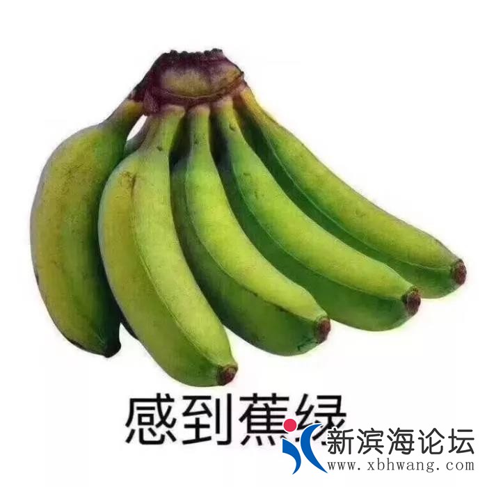 微信图片_20191219094248.jpg