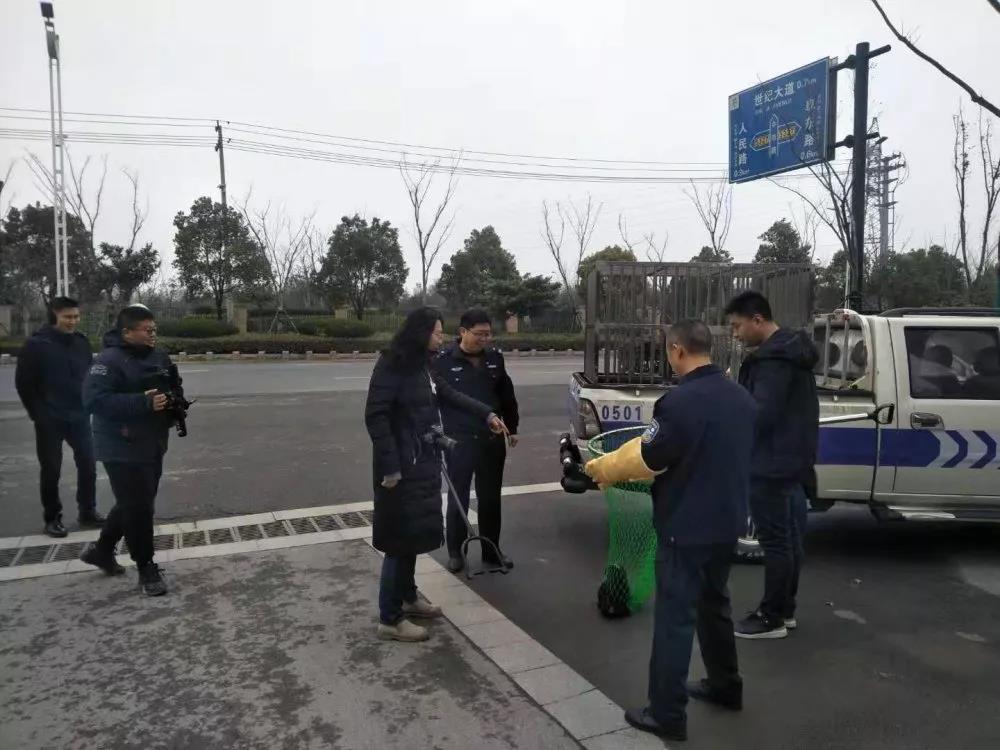 微信图片_20191221104251.jpg