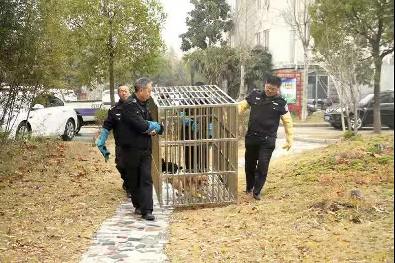 微信图片_20191221104318.jpg