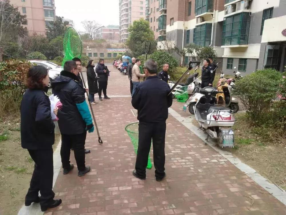 微信图片_20191221104332.jpg