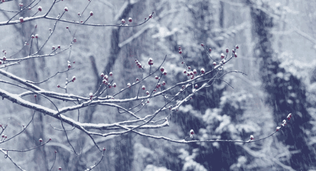 微信图片_20191222143034.gif