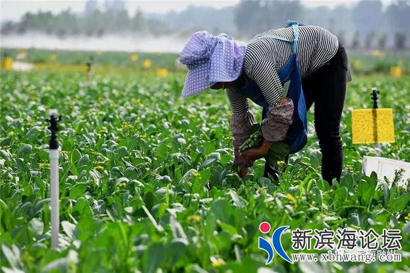 微信图片_20191225082310.jpg