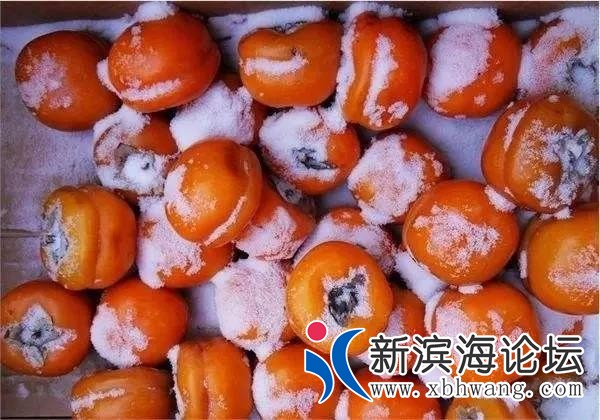 微信图片_20191227081208.jpg