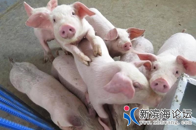 微信图片_20191231093622.jpg