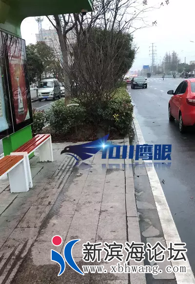 20191231_15974_1577797462148.png