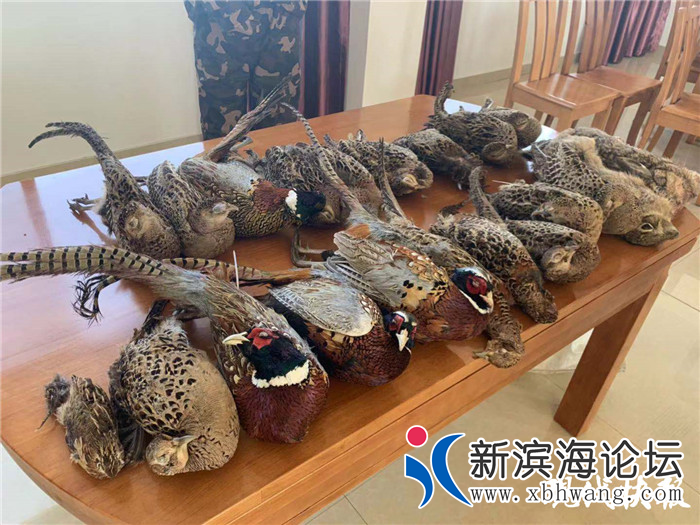 微信图片_20200101162038.png