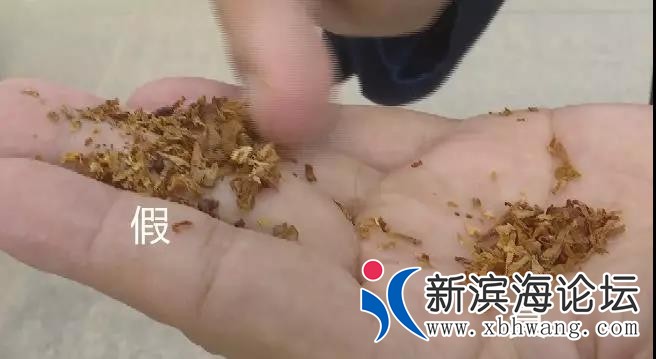 微信图片_20200114110047.jpg