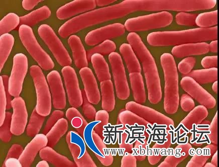 微信图片_20200116101210.jpg