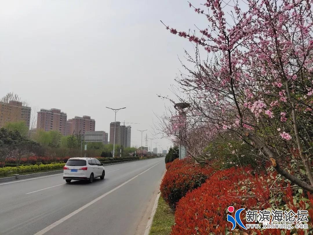 微信图片_20200118101904.jpg