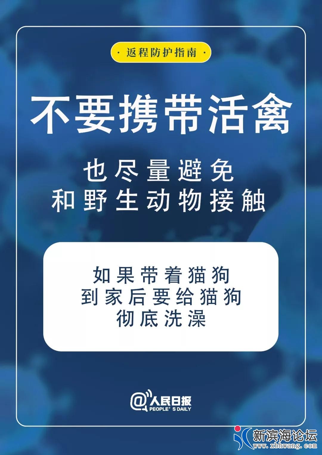 8888.jpg