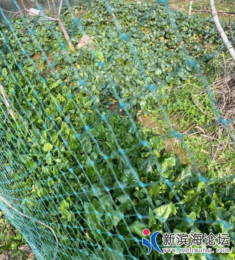 微信图片_20200203165838.jpg