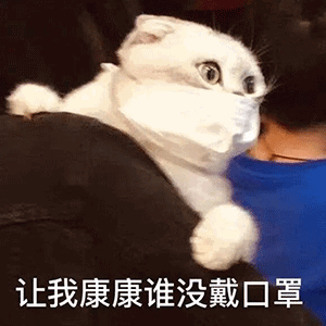 20200206_15974_1580988005806.gif